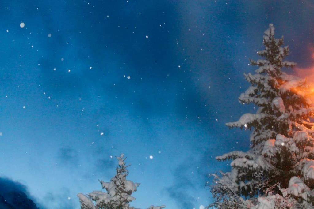 Bel Appartement - Parc National Des Ecrins Pelvoux ภายนอก รูปภาพ